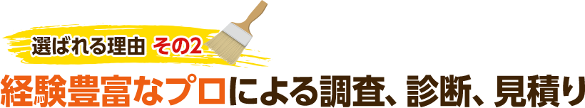 選ばれる理由 その2 経験豊富なプロによる調査、診断、見積り