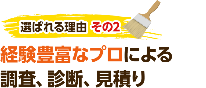 選ばれる理由 その2 経験豊富なプロによる調査、診断、見積り